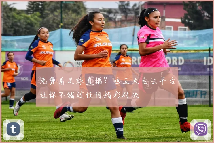 免费看足球直播?这五大合法平台让你不错过任何精彩对决